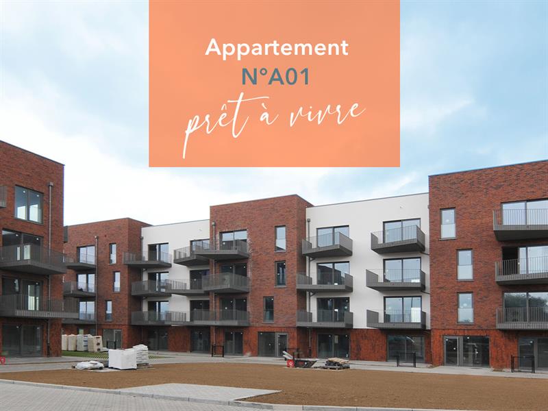 appartement-pret-a-vivre-a-gembloux-a0113-41-2024-12:41:31.jpg